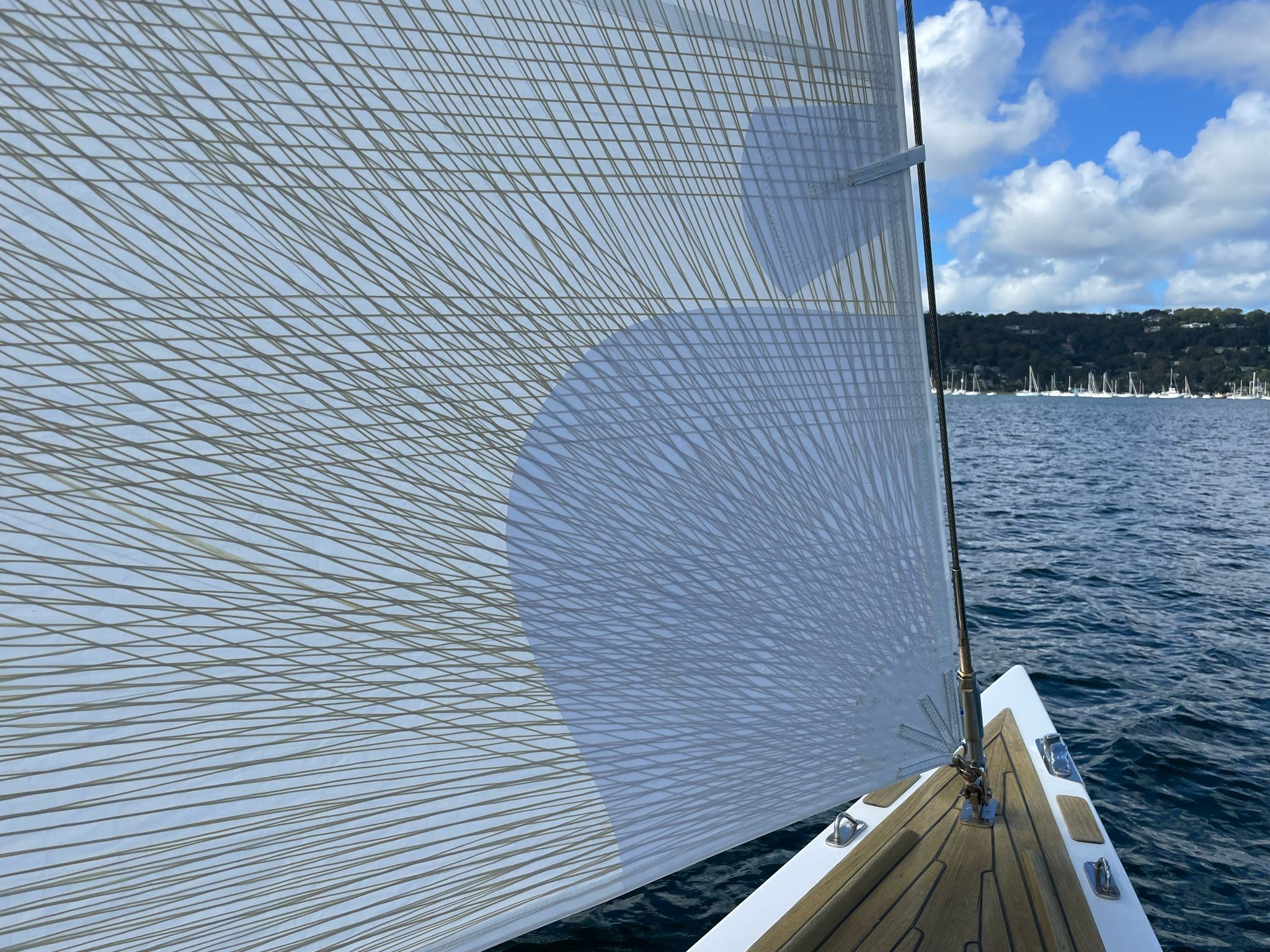 Image of a white membrane sil with gold fibres